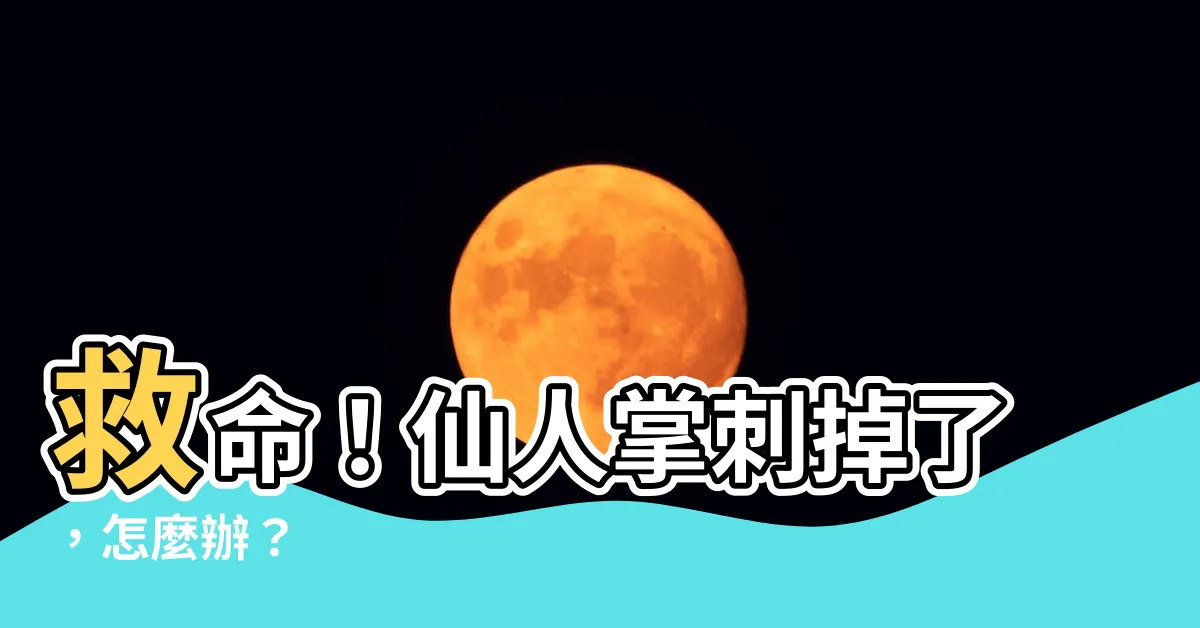【仙人掌掉刺】救命！仙人掌刺掉了，怎麼辦？