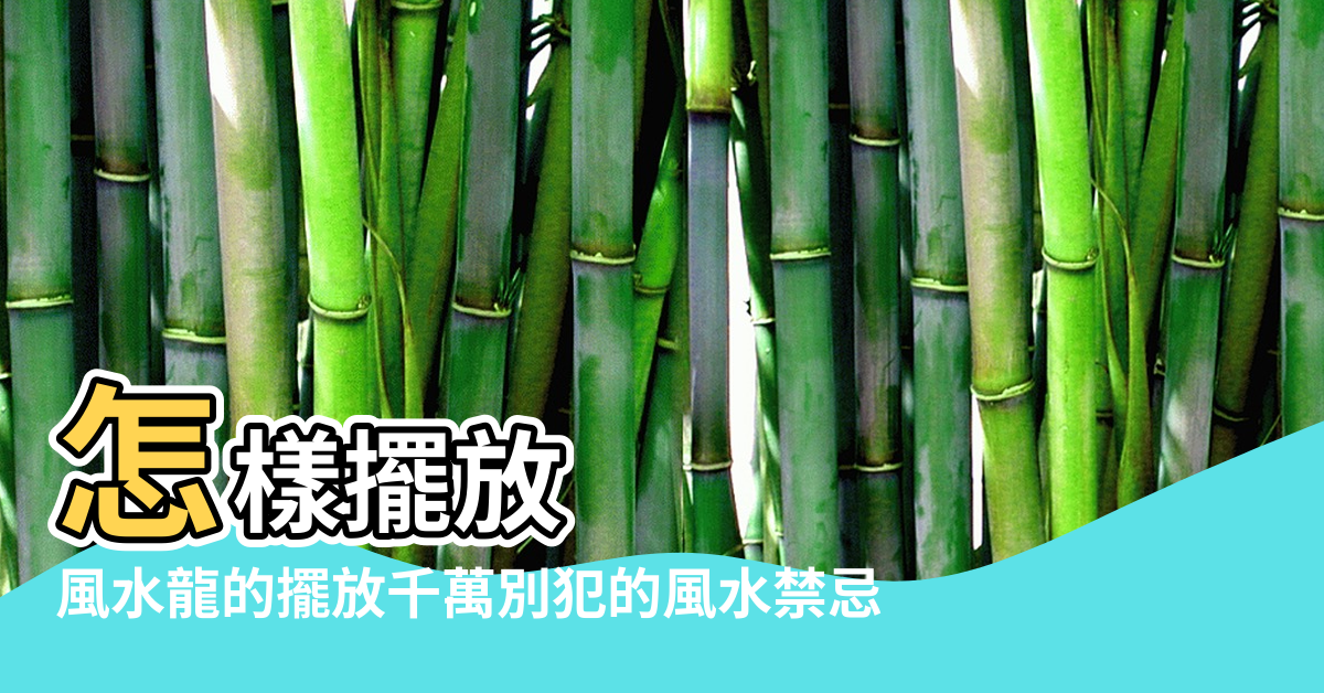 【團龍風水】怎樣擺放 |風水龍的擺放千萬別犯的風水禁忌 |龍有什麼風水作用 |