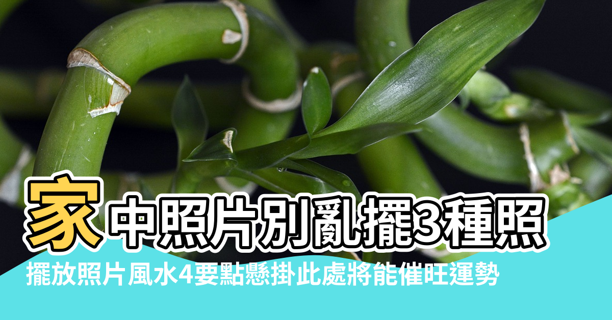 【照片 擺放 風水】家中照片別亂擺3種照片恐招小人 |擺放照片風水4要點懸掛此處將能催旺運勢 |在家中擺放照片有哪些風水講究 |