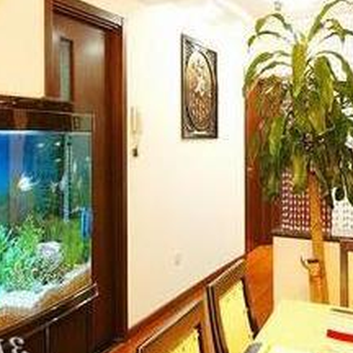 3、家庭的財務狀況在哪裡?魚缸放哪里合適?感激的!