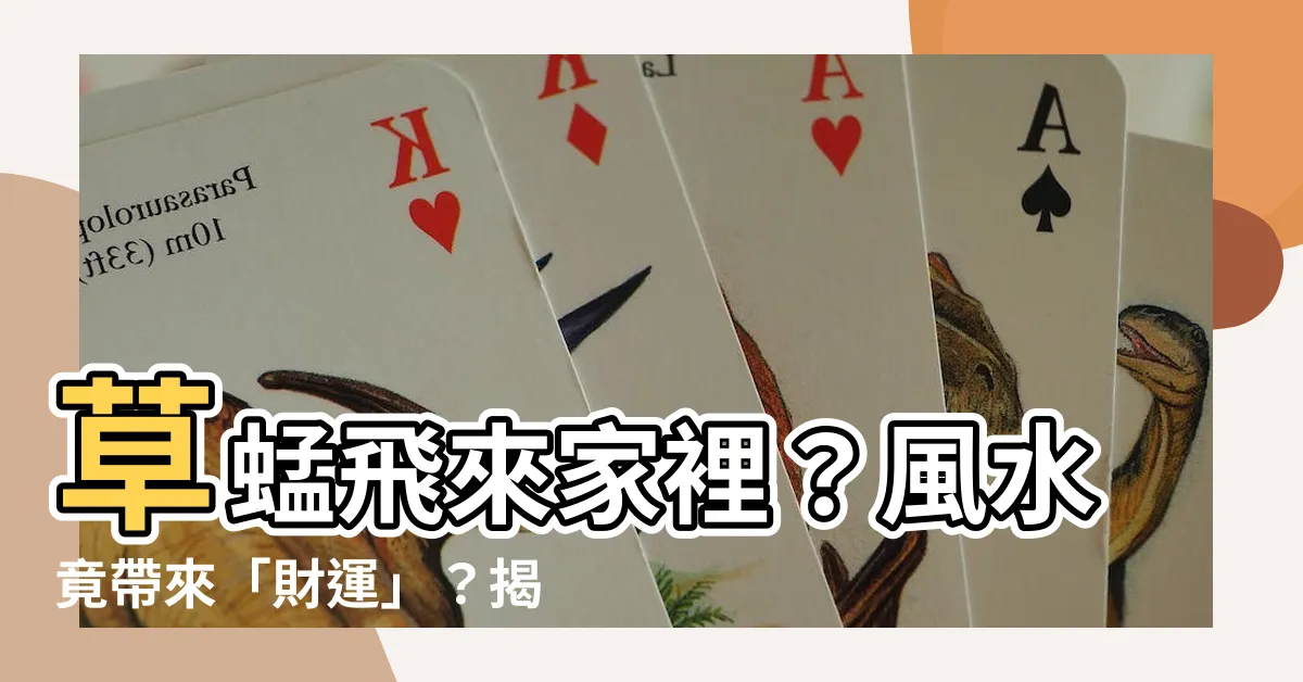 【草蜢風水】草蜢飛來家裡？風水竟帶來「財運」？揭密綠色草蜢象徵意涵