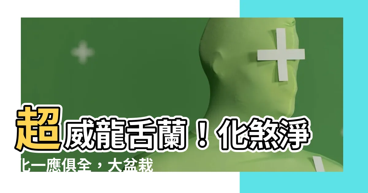 【龍舌蘭擋煞】超威龍舌蘭！化煞淨化一應俱全，大盆栽擺好擺滿防官司