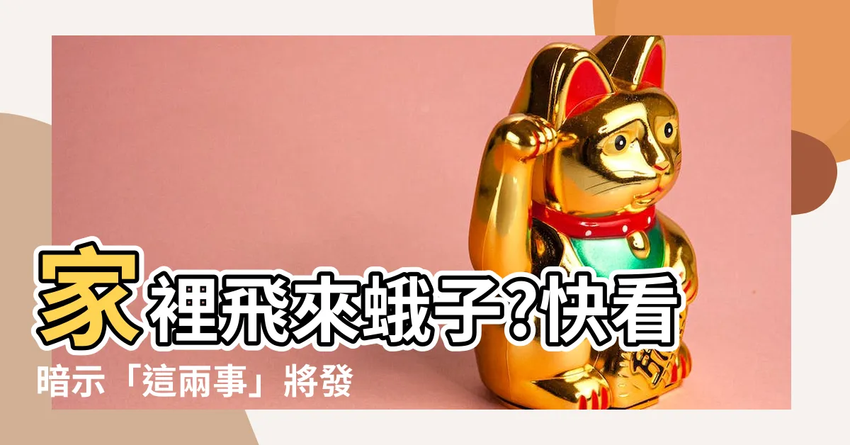 【家裡飛來蛾】家裡飛來蛾子?快看暗示「這兩事」將發生！