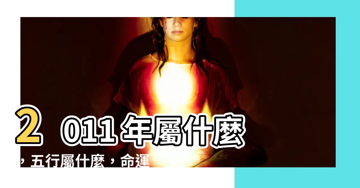 【2011年屬什麼】2011 年屬什麼，五行屬什麼，命運大 PK！