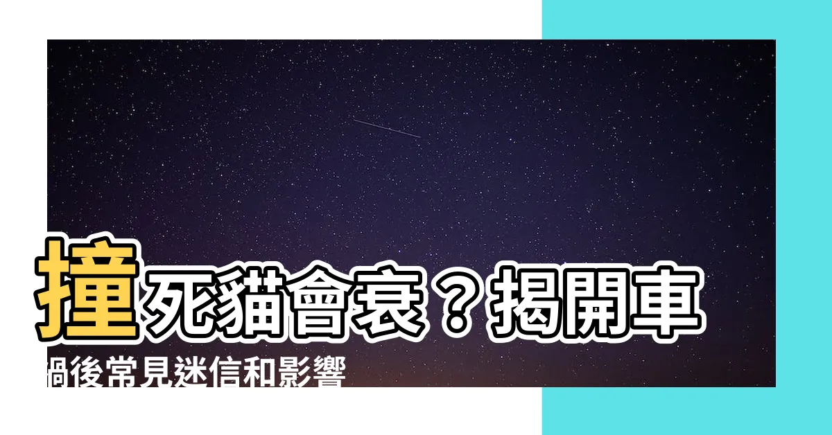 【撞死貓會衰】撞死貓會衰？揭開車禍後常見迷信和影響