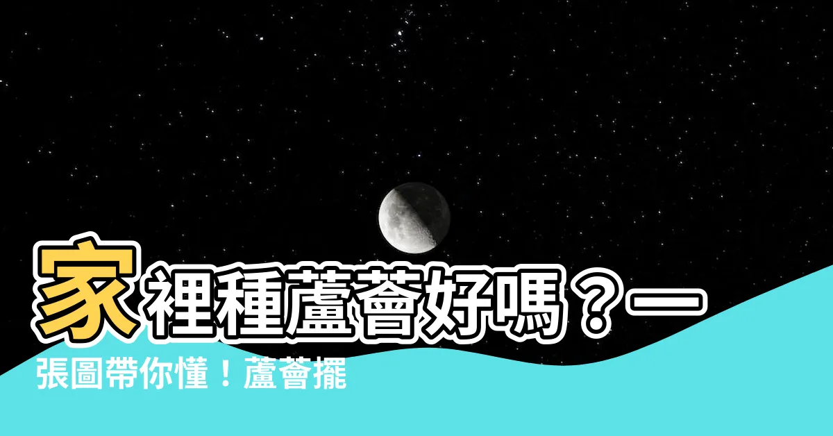 【蘆薈風水】家裡種蘆薈好嗎？一張圖帶你懂！蘆薈擺放風水禁忌全攻略