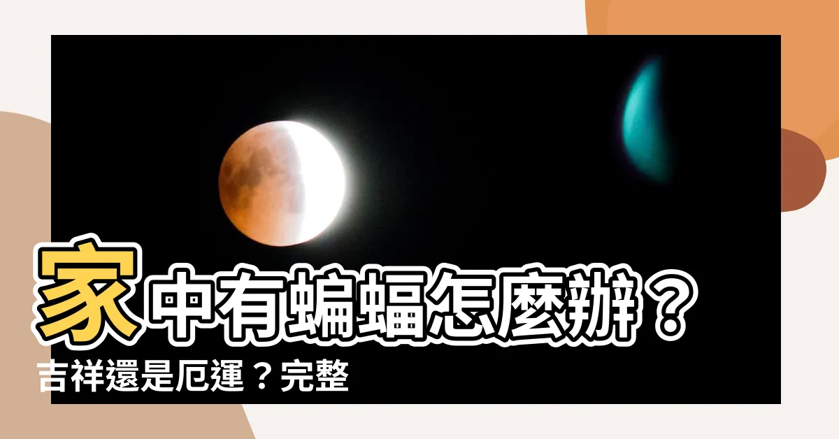 【家中有蝙蝠怎麼辦】家中有蝙蝠怎麼辦？吉祥還是厄運？完整指南一次看懂！