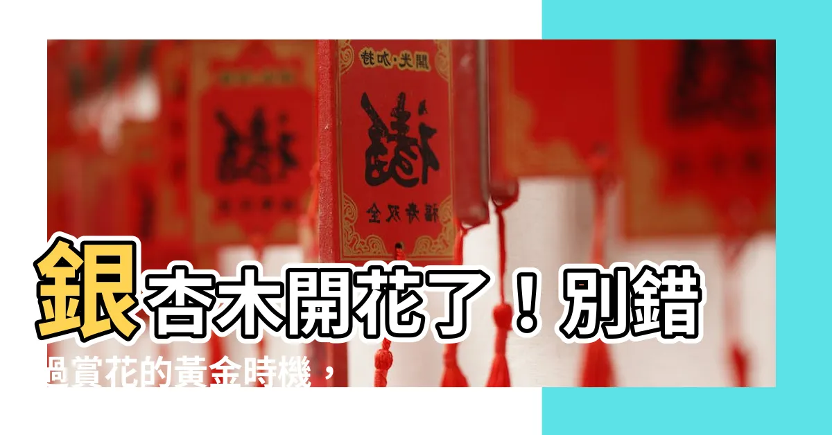 【銀杏木開花】銀杏木開花了！別錯過賞花的黃金時機，室內種植必知小常識