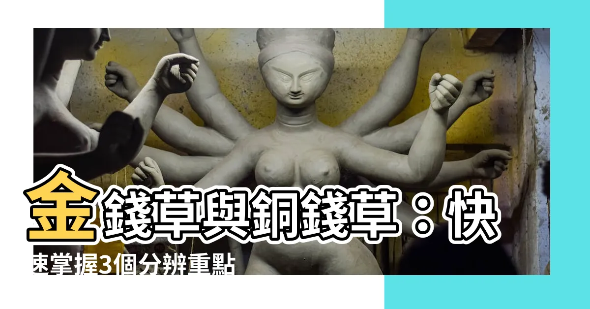 【金錢草 銅錢草】金錢草與銅錢草：快速掌握3個分辨重點，輕鬆區分你的小盆栽