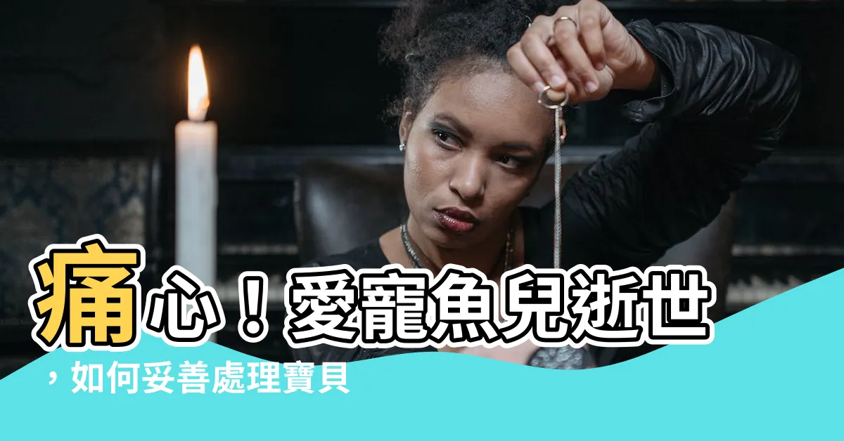【養的魚死了怎麼處理】痛心！愛寵魚兒逝世，如何妥善處理寶貝最後一程？