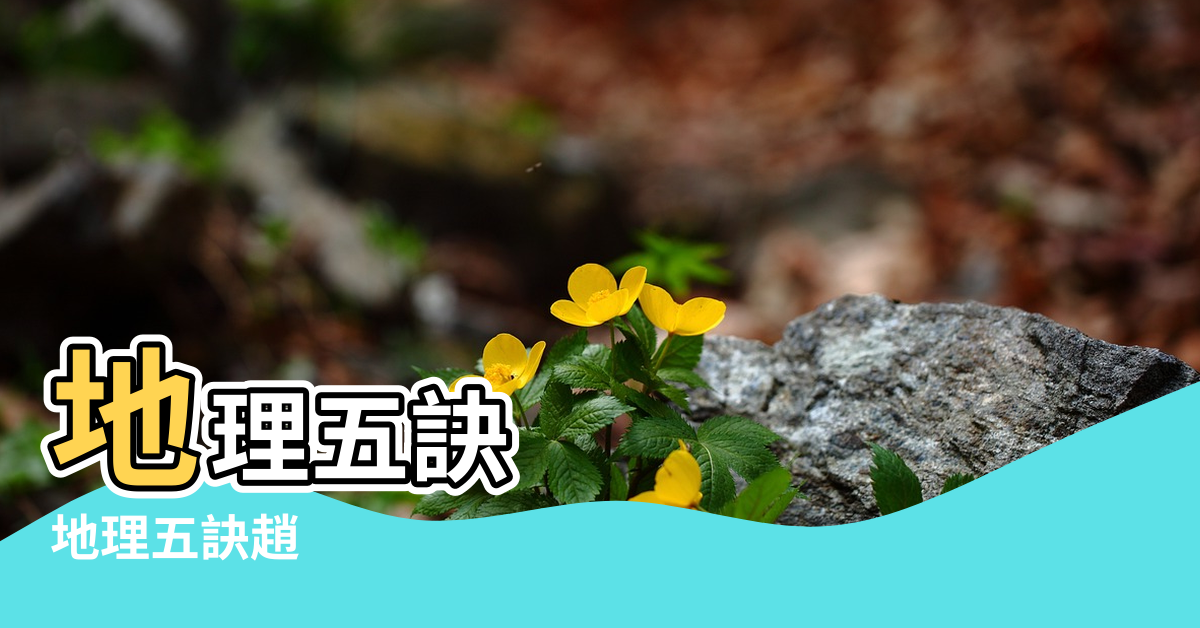 【風水地理五訣】地理五訣 |地理五訣趙 |地理五訣 |