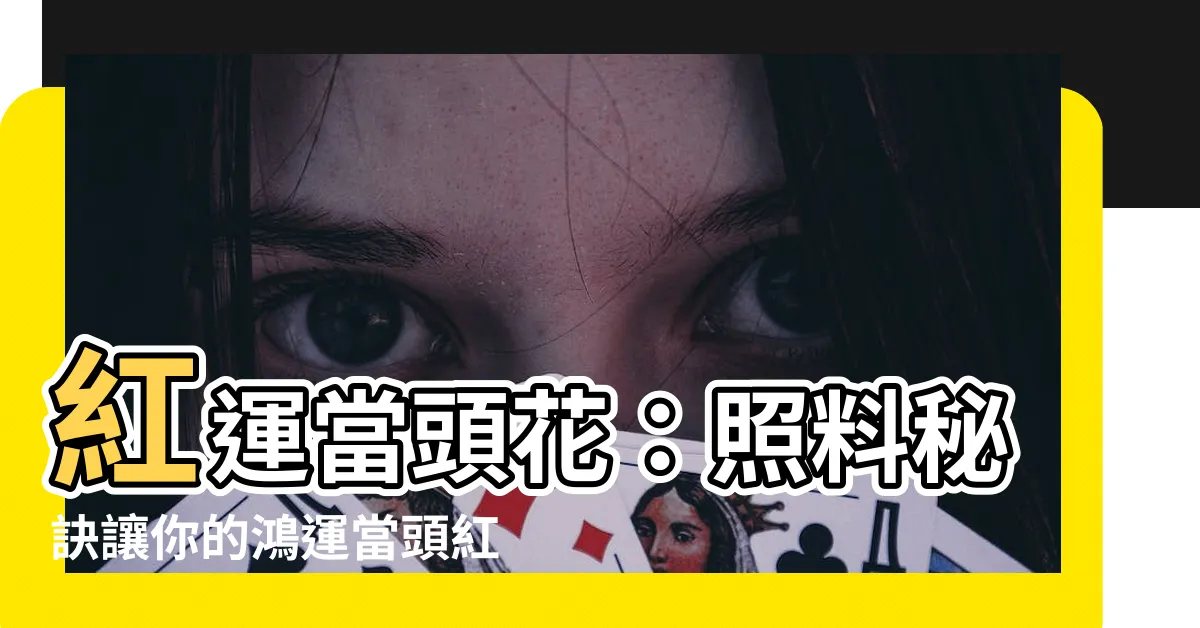 【紅運當頭花】紅運當頭花：照料秘訣讓你的鴻運當頭紅火耀眼