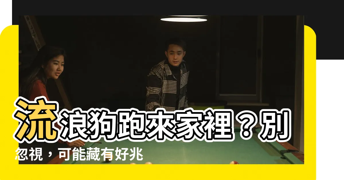 【流浪狗跑來家裡】流浪狗跑來家裡？別忽視，可能藏有好兆頭！