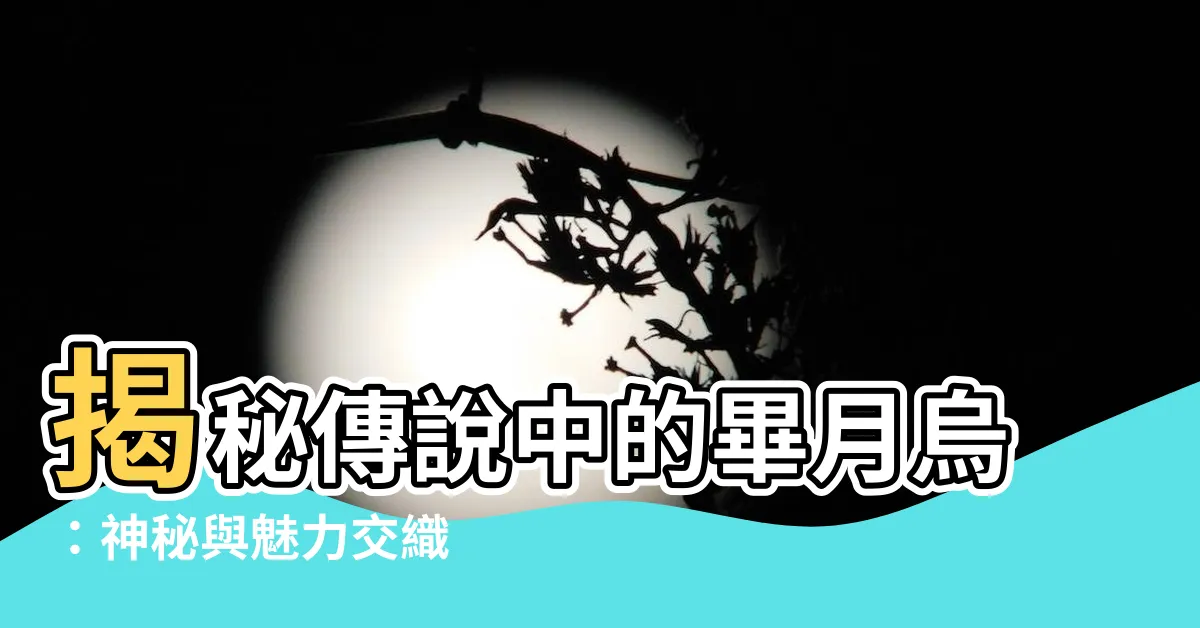 【畢月烏】揭秘傳説中的畢月烏：神秘與魅力交織