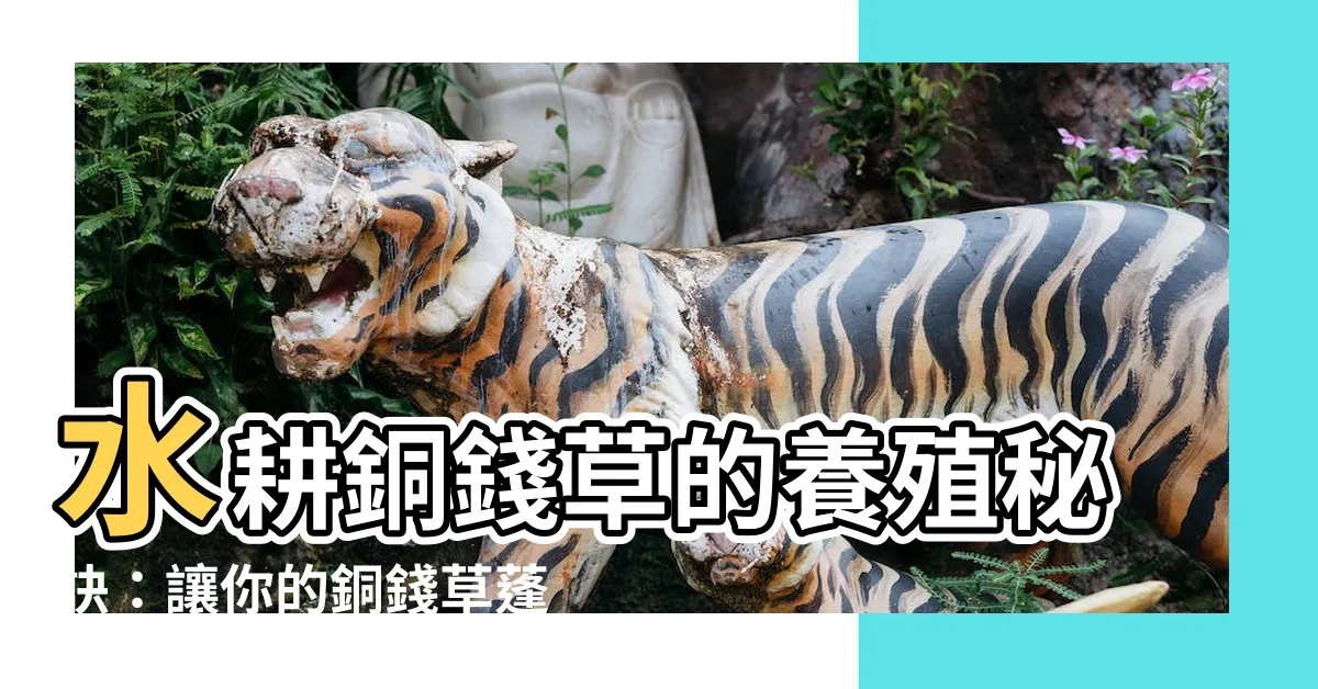 【水耕銅錢草】水耕銅錢草的養殖秘訣：讓你的銅錢草蓬勃生長！