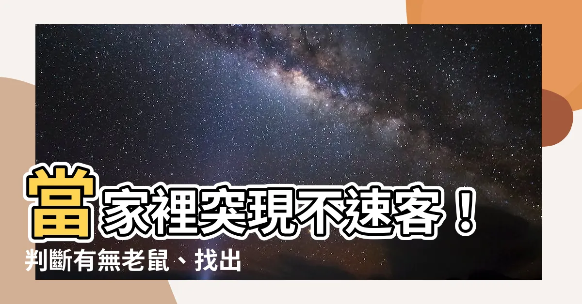 【家裡突然有老鼠】當家裡突現不速客！判斷有無老鼠、找出入侵原因一次搞定