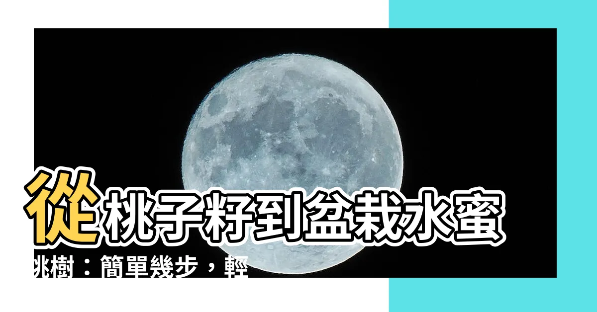 【桃子籽種植】從桃子籽到盆栽水蜜桃樹：簡單幾步，輕鬆種出你的桃源仙境