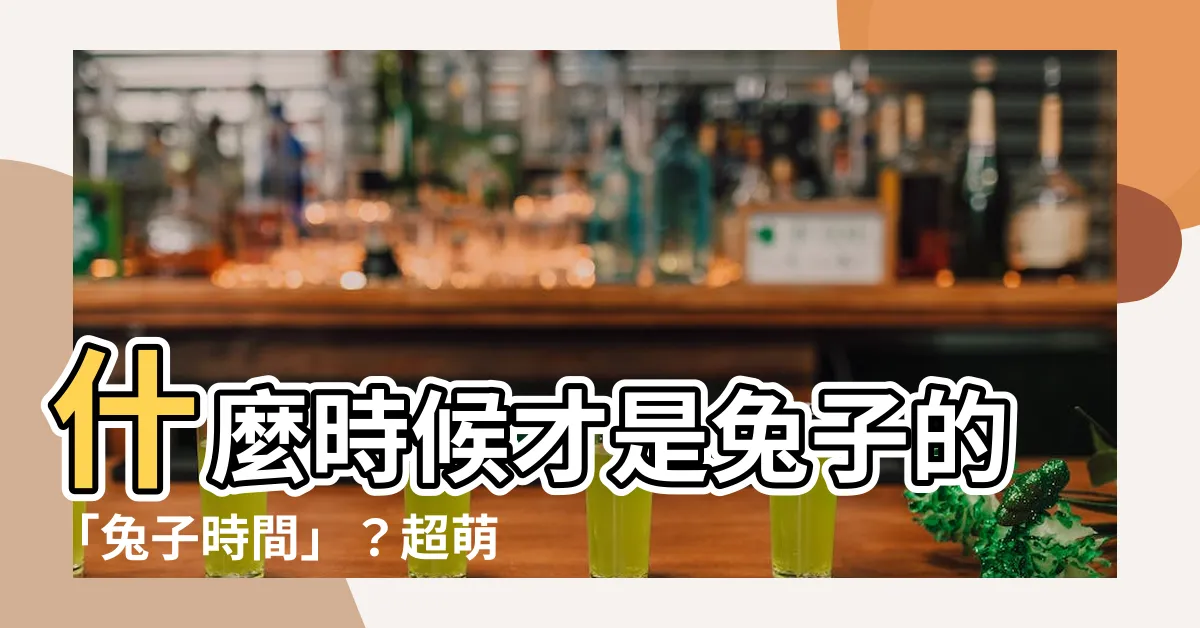 【兔子活動時間】什麼時候才是兔子的「兔子時間」？超萌秘辛大公開！