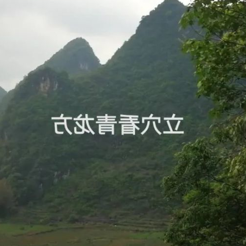 5、墓地穴位風水有“獅子下山”或“老虎下山”的說法嗎?這個洞穴之星怎麼樣?好還是不好?以什麼方式?