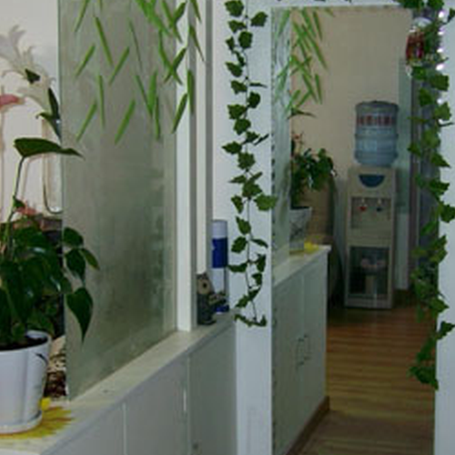 2.風水要在入口處放什麼植物才能發旺