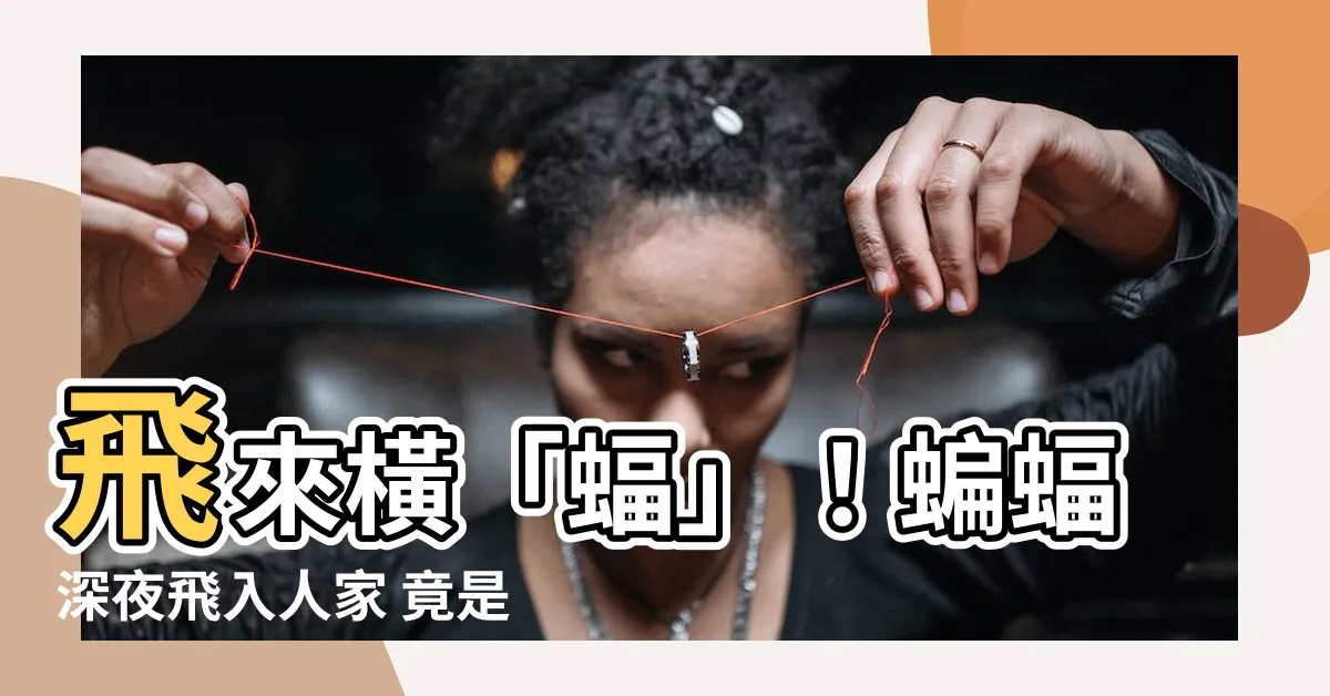 【蝙蝠 飛】飛來橫「蝠」！蝙蝠深夜飛入人家 竟是「好意頭」？