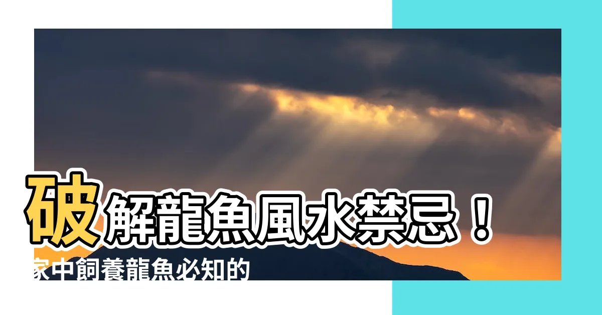 【龍魚風水】破解龍魚風水禁忌！家中飼養龍魚必知的風水密碼
