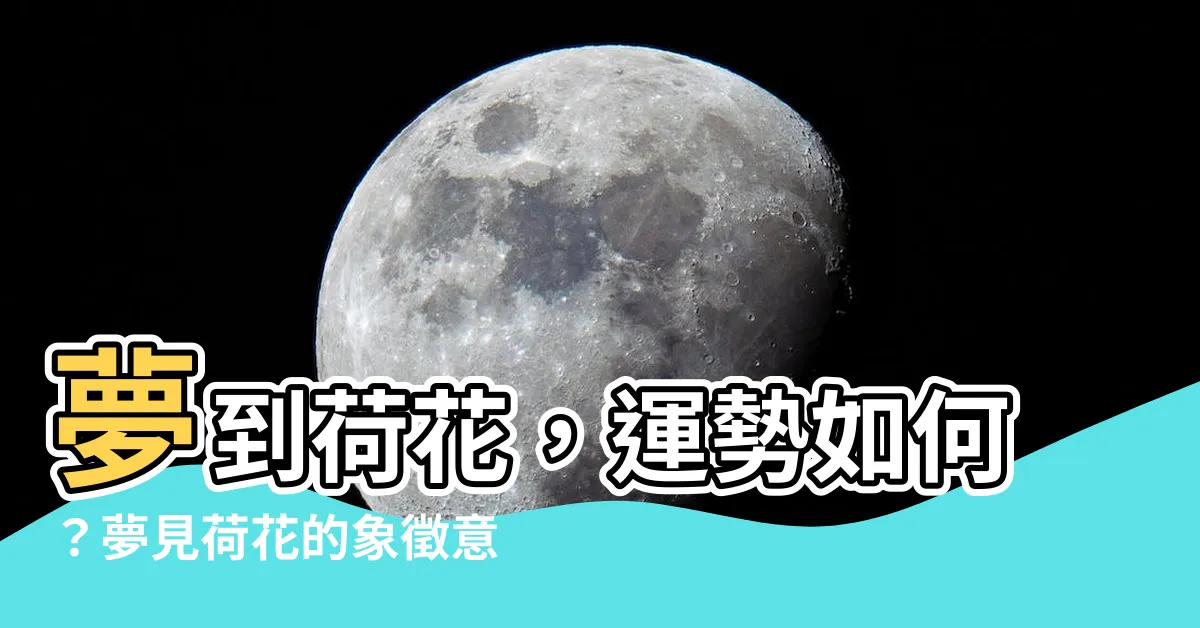 【夢見荷花】夢到荷花，運勢如何？夢見荷花的象徵意義大解析！