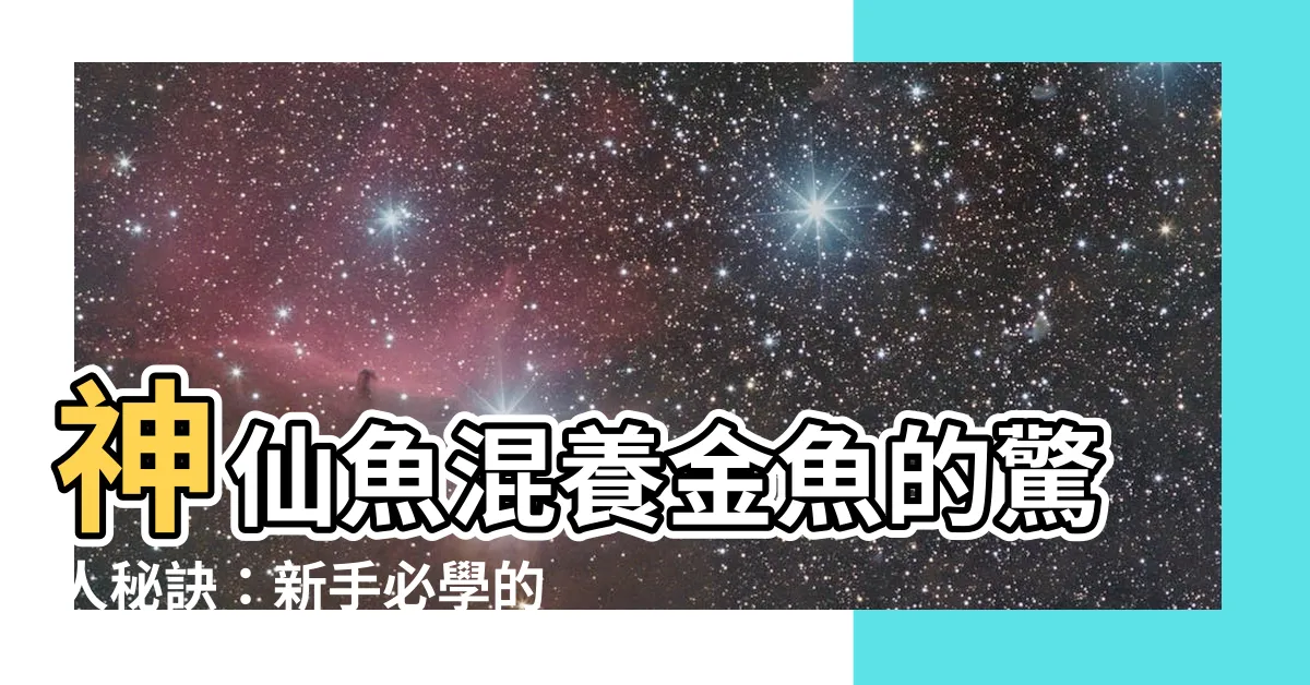 【神仙魚混養金魚】神仙魚混養金魚的驚人秘訣：新手必學的挑戰