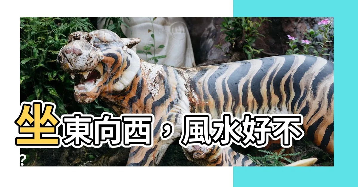 【坐東向西意思】坐東向西，風水好不？
