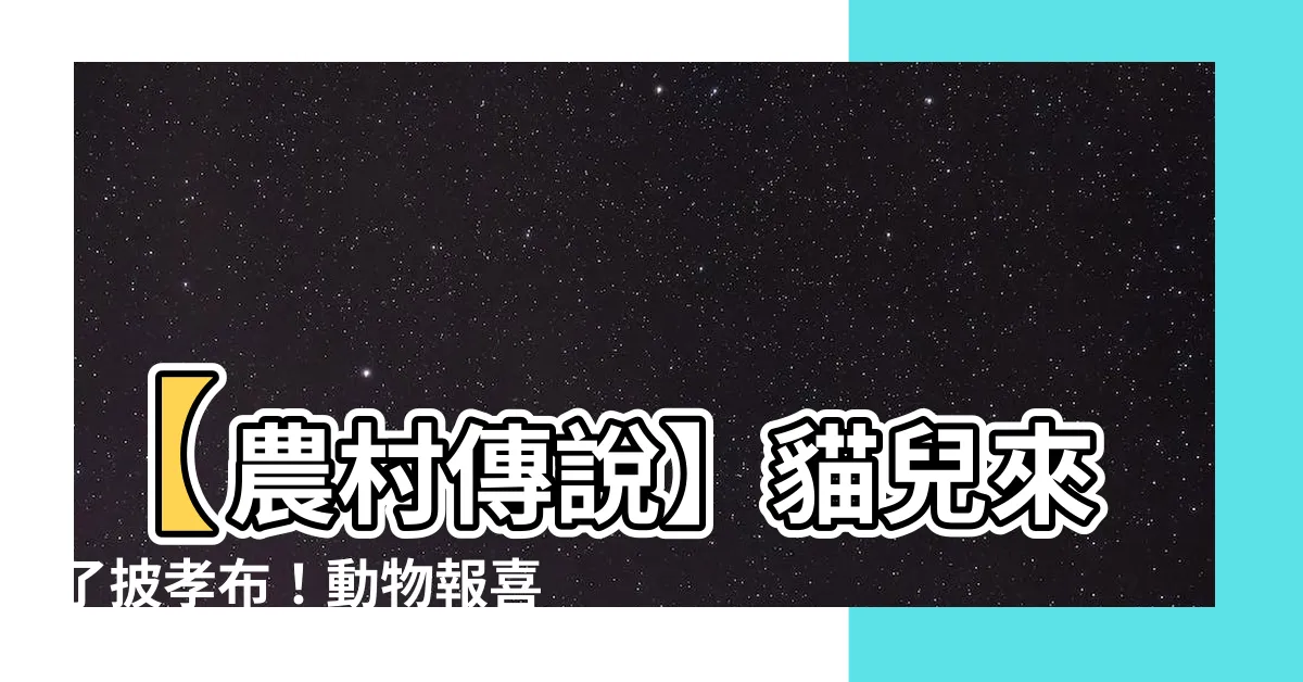 【貓兒來了披孝布】【農村傳説】貓兒來了披孝布！動物報喜報憂，先人智慧不容小覷！