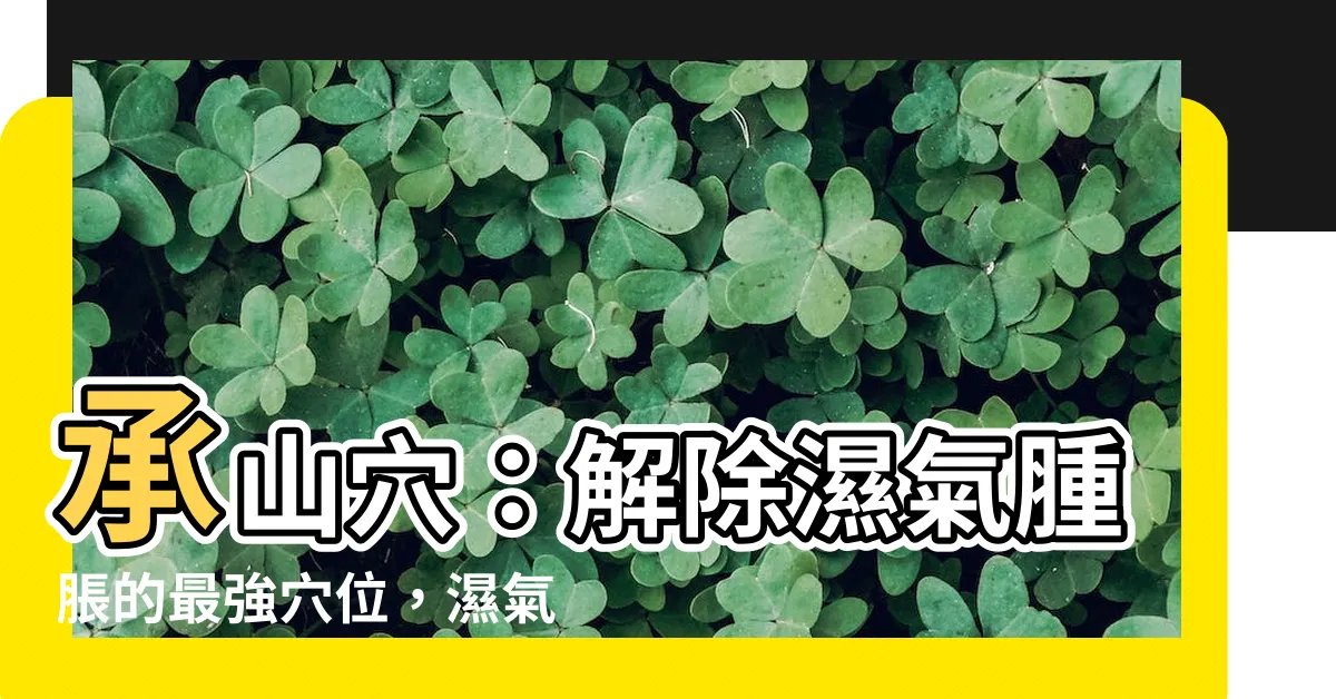 【丞山穴】承山穴：解除濕氣腫脹的最強穴位，濕氣一掃而空！