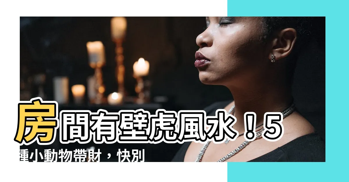 【房間有壁虎風水】房間有壁虎風水！5種小動物帶財，快別趕走！