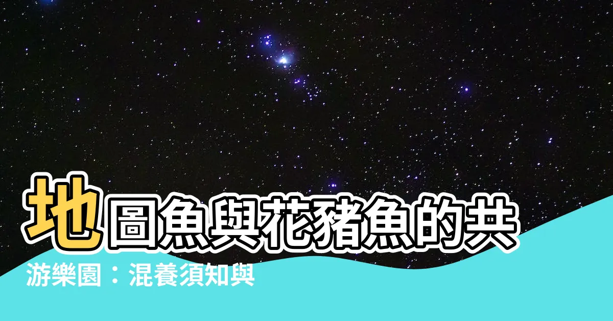 【花豬魚混養】地圖魚與花豬魚的共遊樂園：混養須知與疾病救星