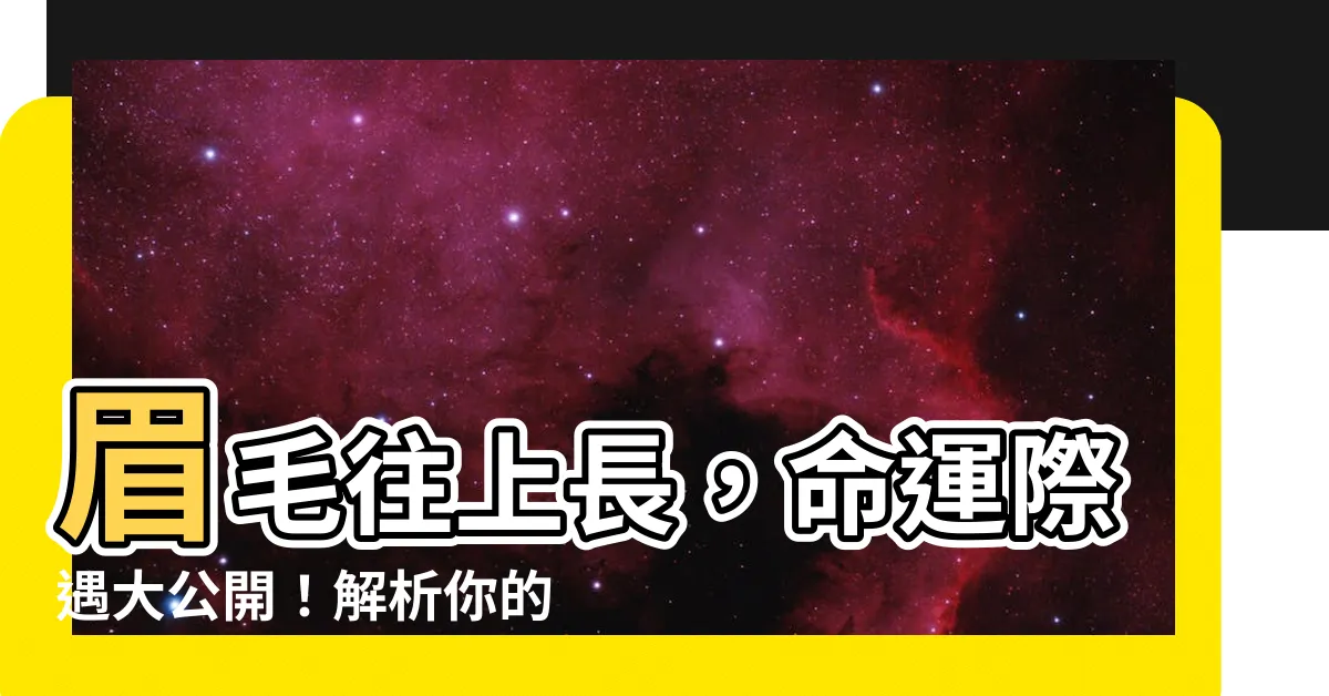 【眉毛往上長】眉毛往上長，命運際遇大公開！解析你的眉上揚性格與未來運勢