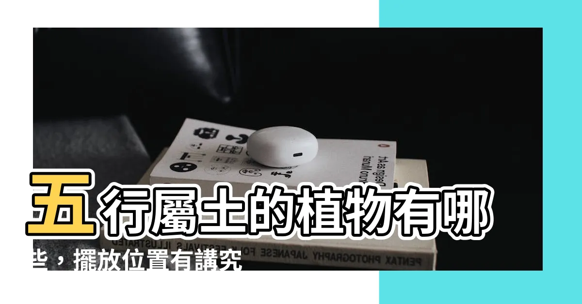 【五行屬土的植物】五行屬土的植物有哪些，擺放位置有講究，讓你運勢大增！