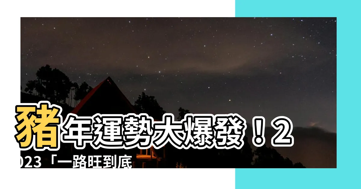 【豬 2023 運勢】豬年運勢大爆發！2023「一路旺到底」屬豬者的財運、桃花運