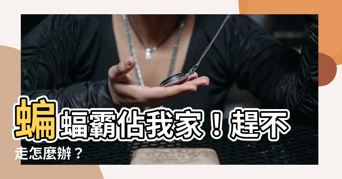 【蝙蝠趕不走】蝙蝠霸佔我家！趕不走怎麼辦？