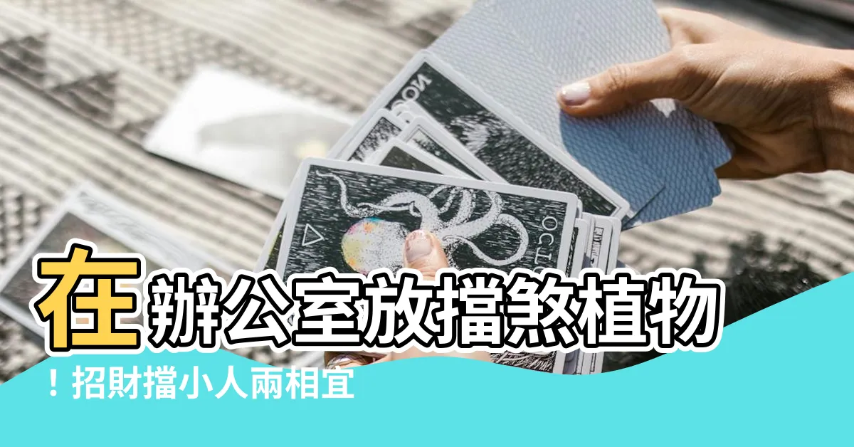 【擋煞植物 辦公室】在辦公室放擋煞植物！招財擋小人兩相宜，擺放禁忌一次看透