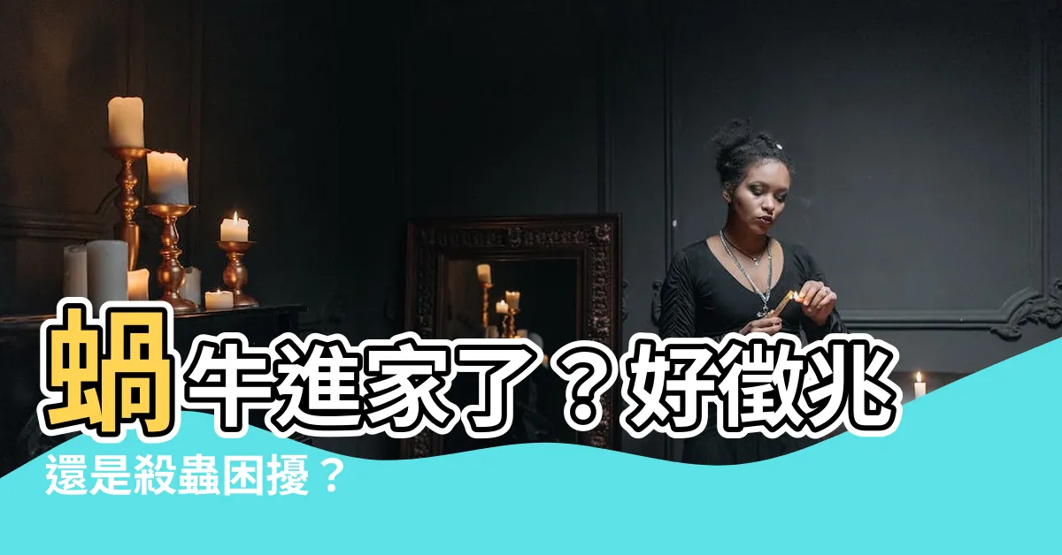 【蝸牛進家】蝸牛進家了？好徵兆還是殺蟲困擾？