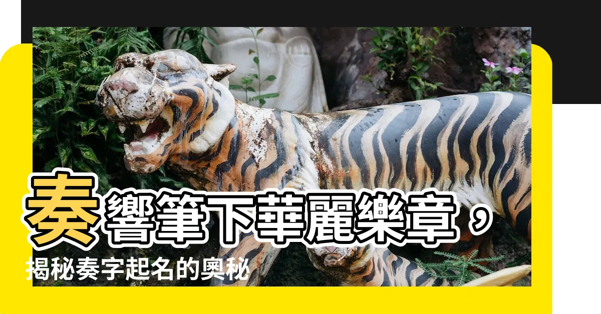 【奏 名字】奏響筆下華麗樂章，揭秘奏字起名的奧秘