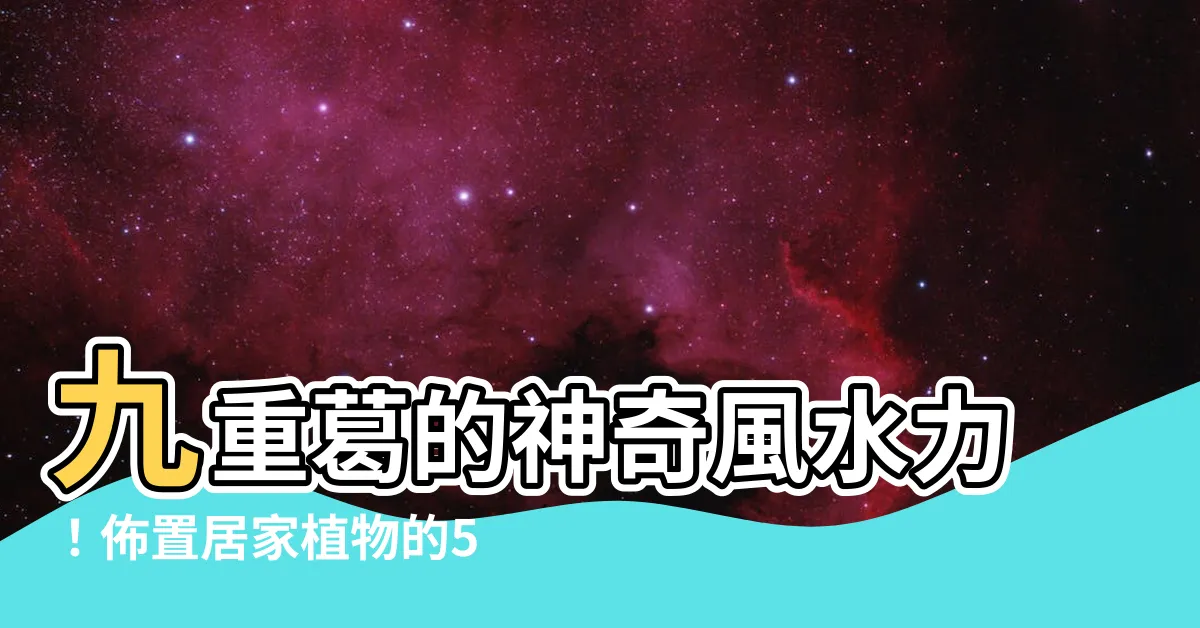 【九重葛化煞】九重葛的神奇風水力！佈置居家植物的5個禁忌不可不知！