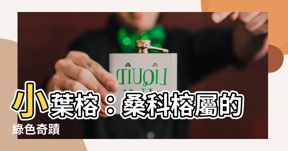 【小葉榕】小葉榕：桑科榕屬的綠色奇蹟