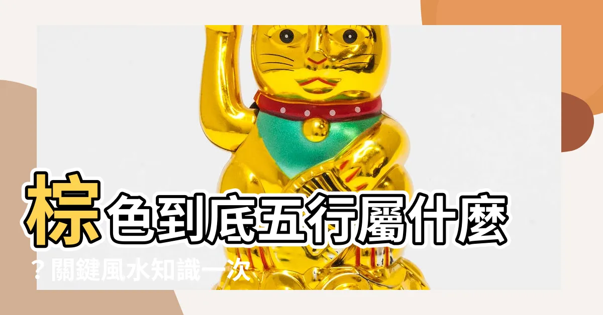 【棕色五行】棕色到底五行屬什麼？關鍵風水知識一次GET！