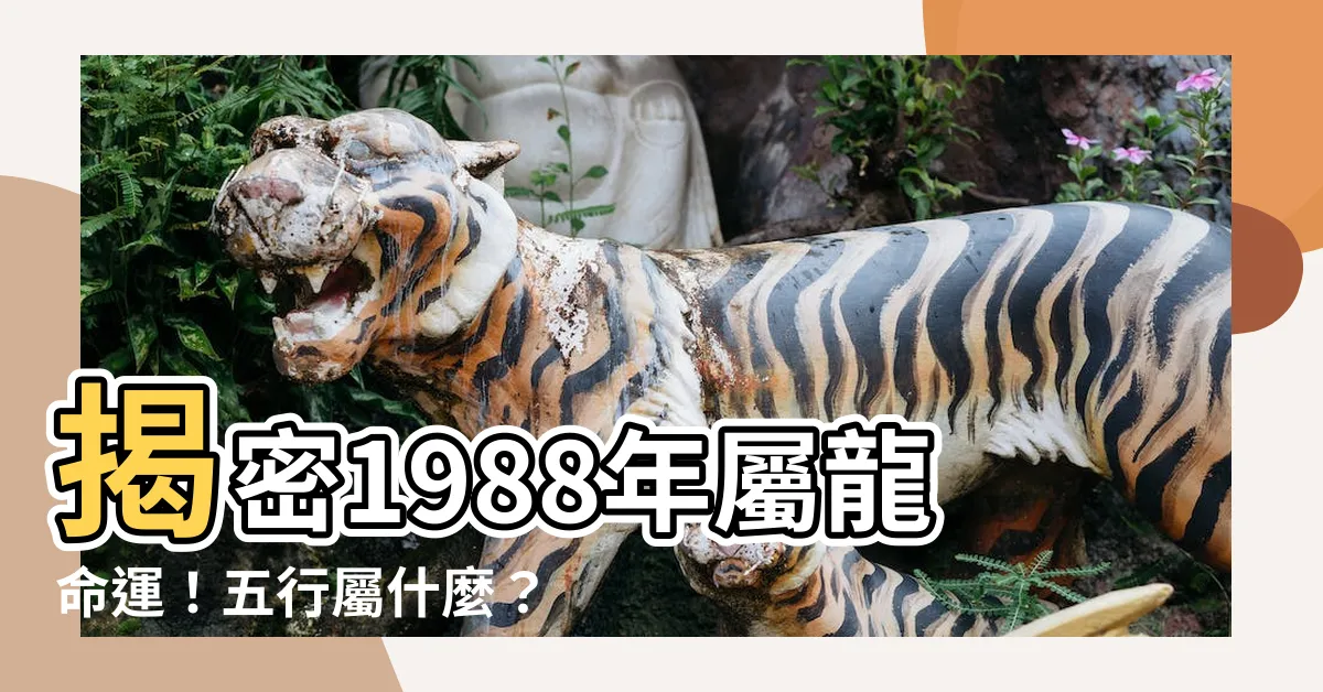 【1988年屬龍是什麼命】揭密1988年屬龍命運！五行屬什麼？速配屬相公開！