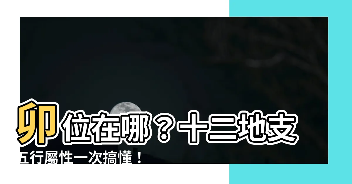 【卯位】卯位在哪？十二地支五行屬性一次搞懂！