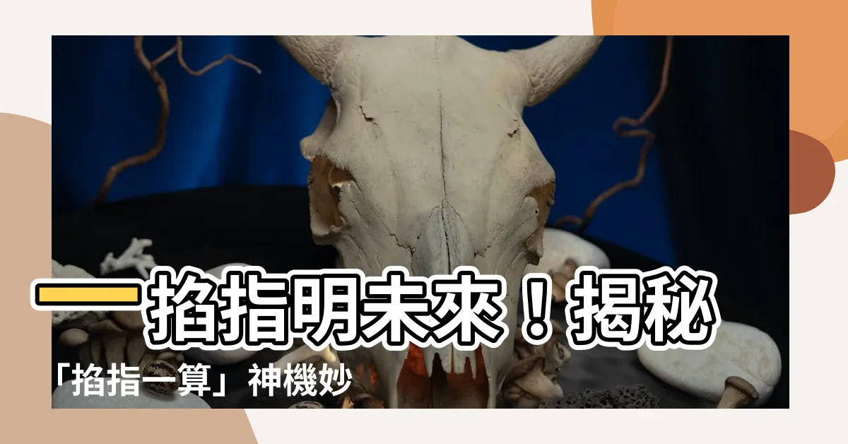 【掐子一算】一掐指明未來！揭秘「掐指一算」神機妙法，輕鬆預測人生吉凶！