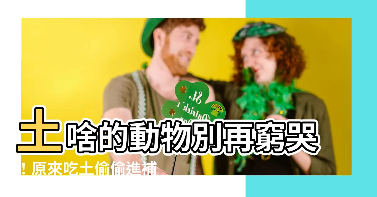 【土 動物】土啥的動物別再窮哭！原來吃土偷偷進補了！