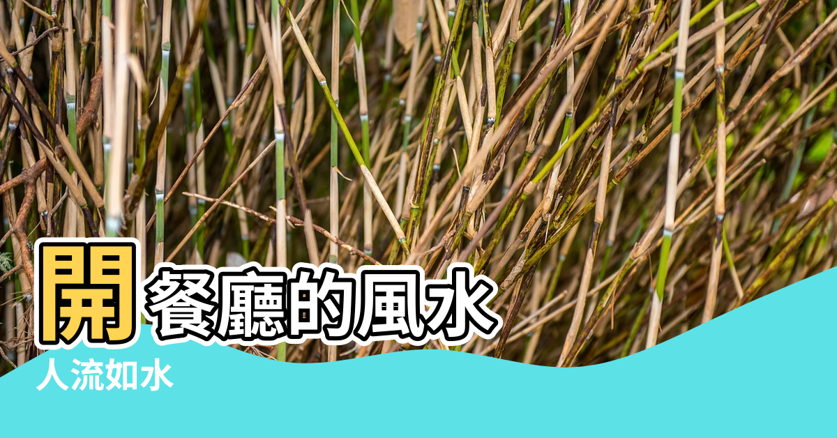【開餐廳的風水】開餐廳的風水 |人流如水 |想做生意風水也很重要 |