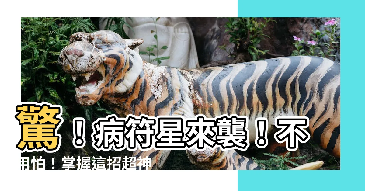 【病符化解】驚！病符星來襲！不用怕！掌握這招超神化解術，病氣煞氣通通滾