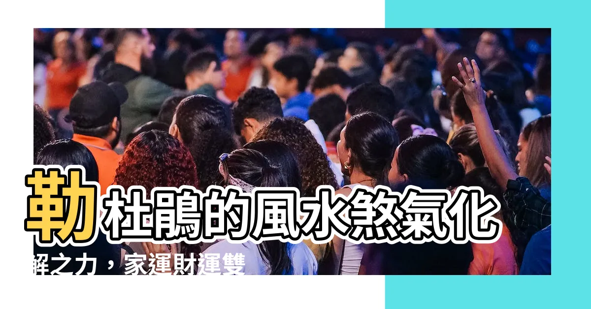 【勒杜鵑風水】勒杜鵑的風水煞氣化解之力，家運財運雙豐收